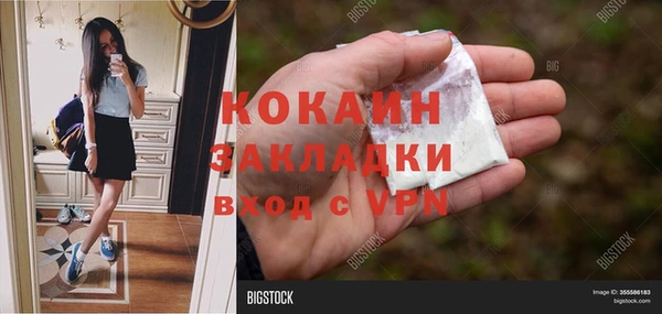 кокс Вяземский