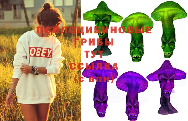 кокс Вяземский