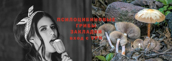 кокс Вяземский