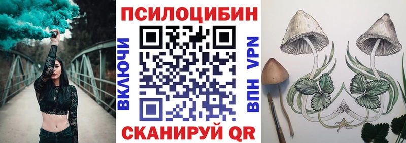 Псилоцибиновые грибы Psilocybe  Хабаровск 